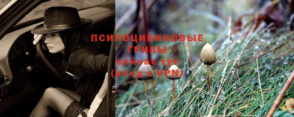 Альфа ПВП Бугульма