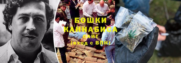 тгк Бронницы