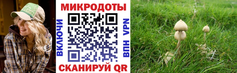 даркнет какой сайт  закладка  Джанкой  Псилоцибиновые грибы Psilocybe 